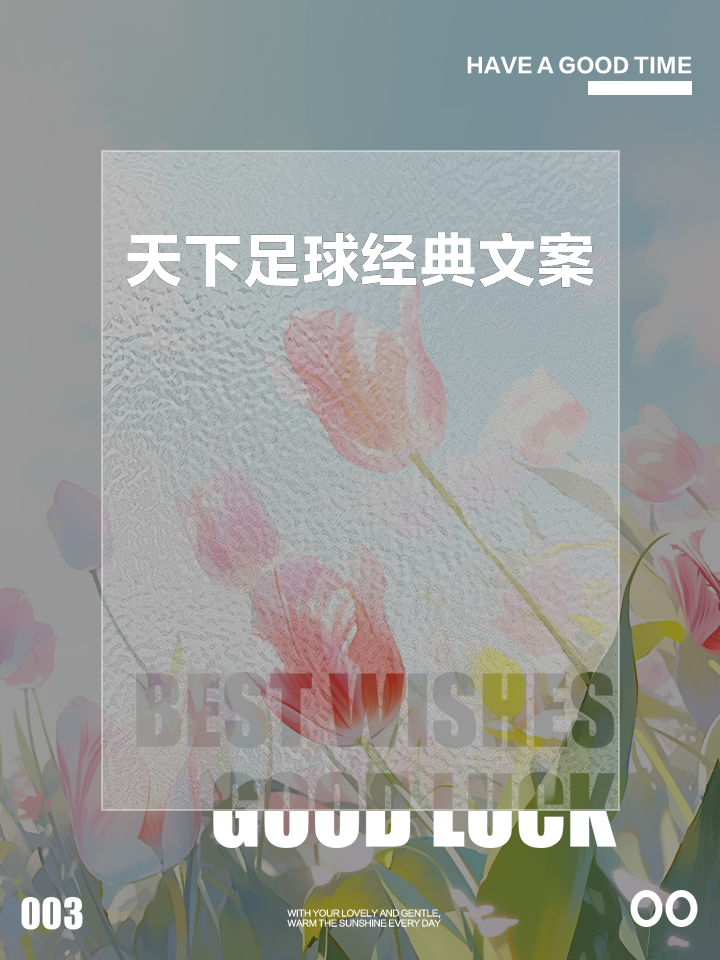 包含著名球员宣布退役决定，告别球场岁月的词条