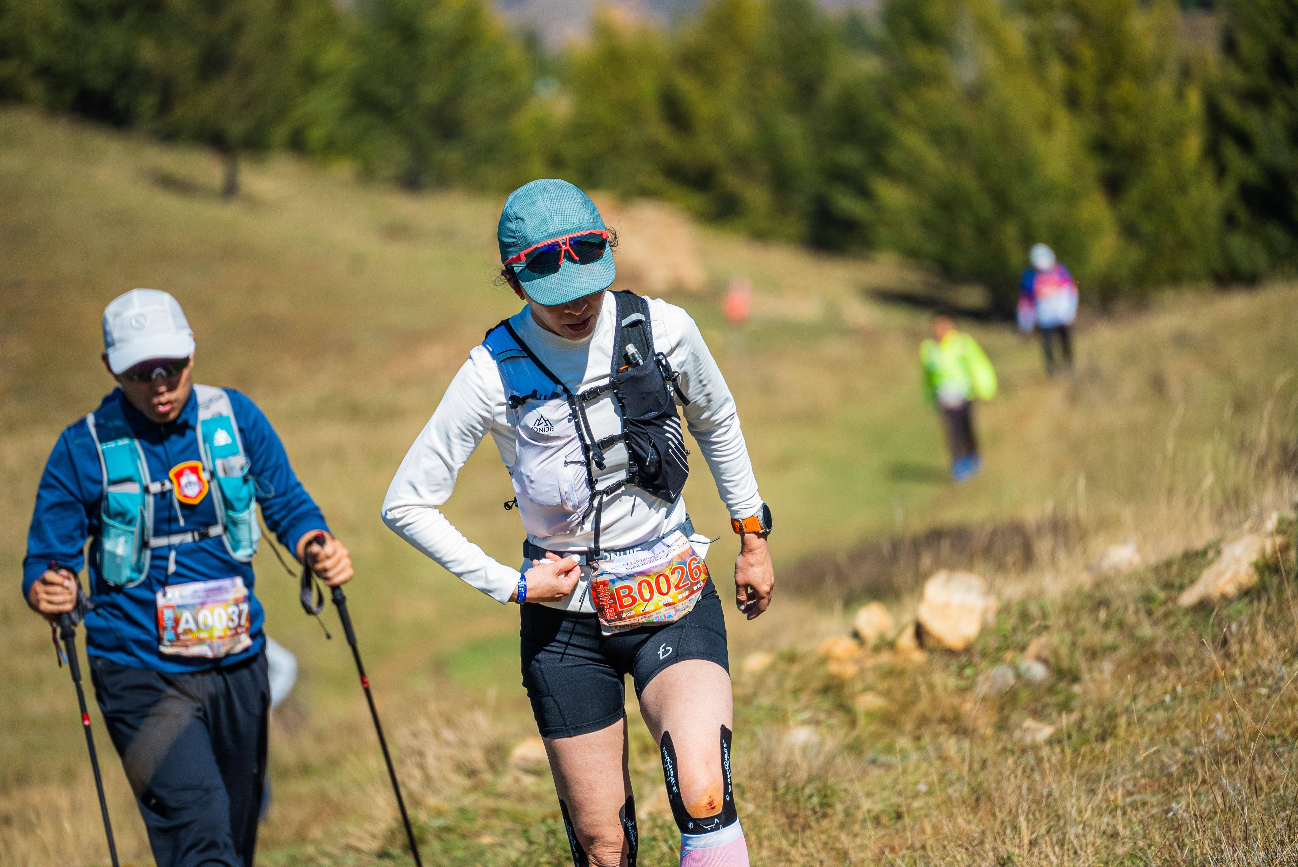 体育界掀起一波波热烈运动热潮的简单介绍